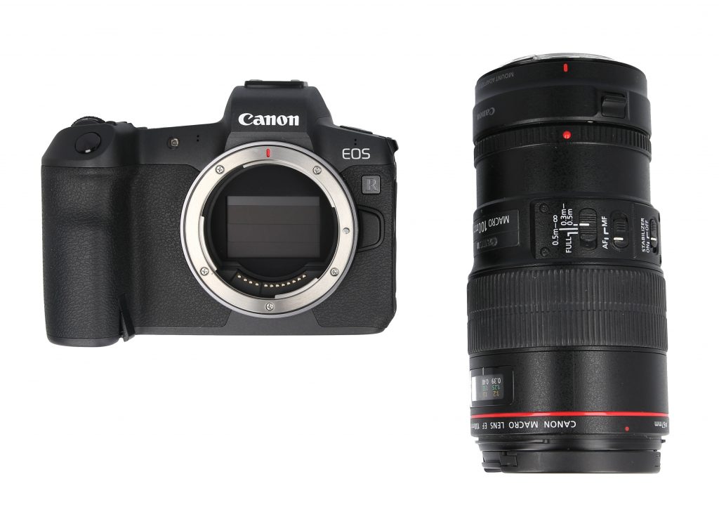 Mirrorless camera Canon EOS R with 100mm macro lens
