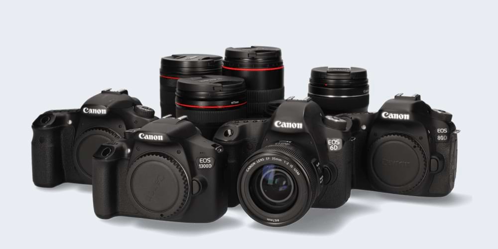 A photo of Canon cameras with a selection of lenses